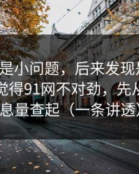 我以为是小问题，后来发现是大坑：如果你觉得91网不对劲，先从封面信息量查起（一条讲透）