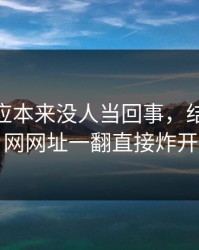 那份回应本来没人当回事，结果被51网网址一翻直接炸开