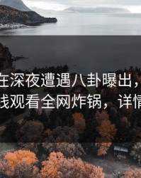 神秘人在深夜遭遇八卦曝出，蘑菇影视在线观看全网炸锅，详情查看