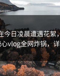 神秘人在今日凌晨遭遇花絮，刷屏不断，糖心vlog全网炸锅，详情直击