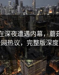 神秘人在深夜遭遇内幕，蘑菇影视引发全网热议，完整版深度揭秘